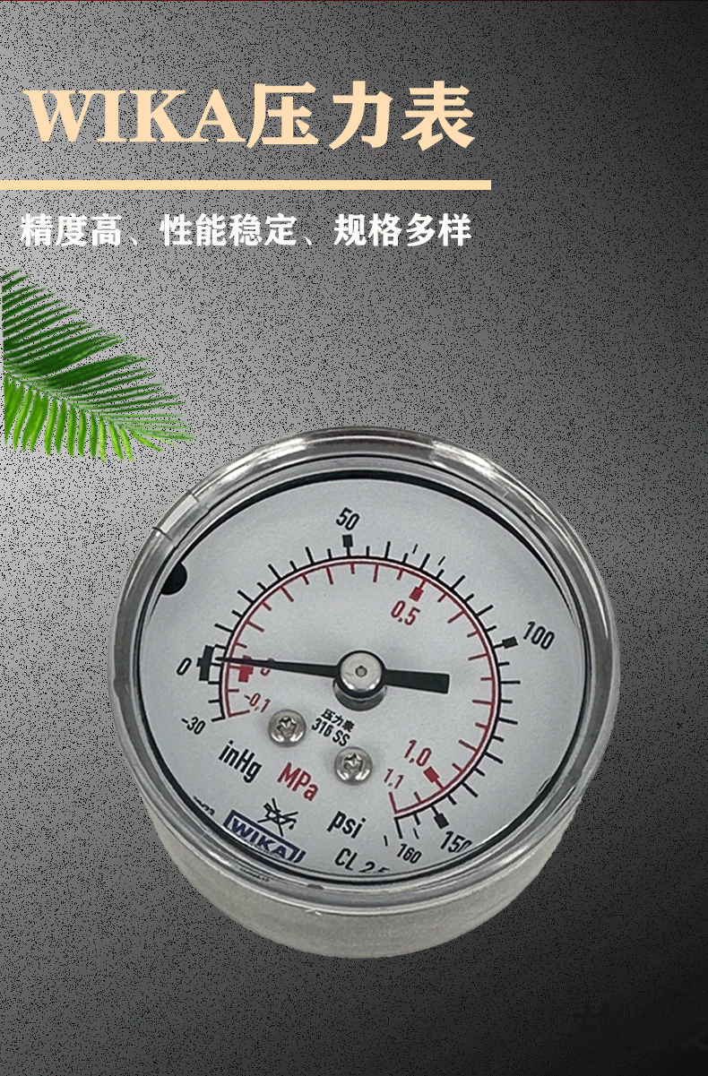 131.11.050壓力表2_02