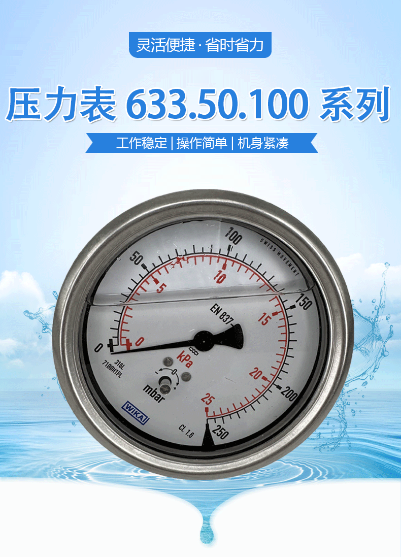 633.50.100壓力表_01