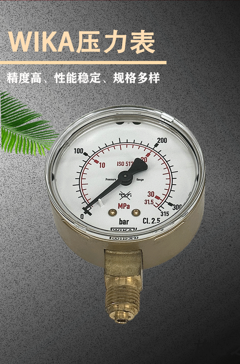111.11.063壓力表_02