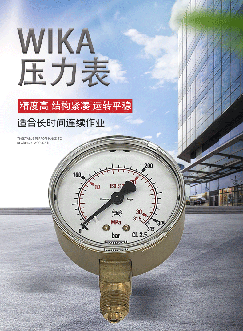 111.11.063壓力表_01_01