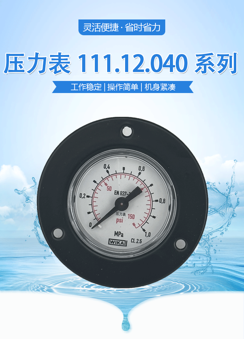 111.12.040帶邊壓力表2_01