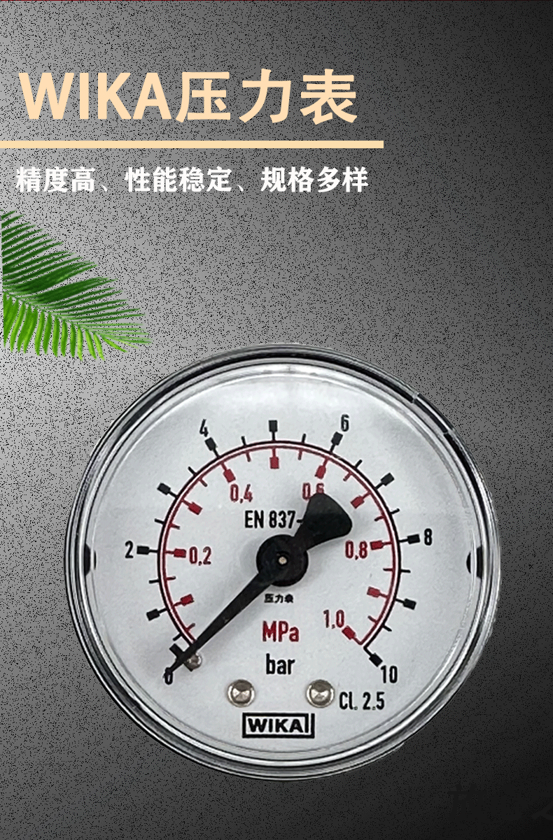 111.12.050壓力表2_02