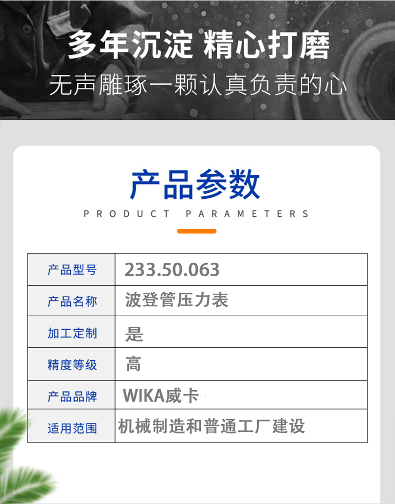 233.50.063壓力表_04