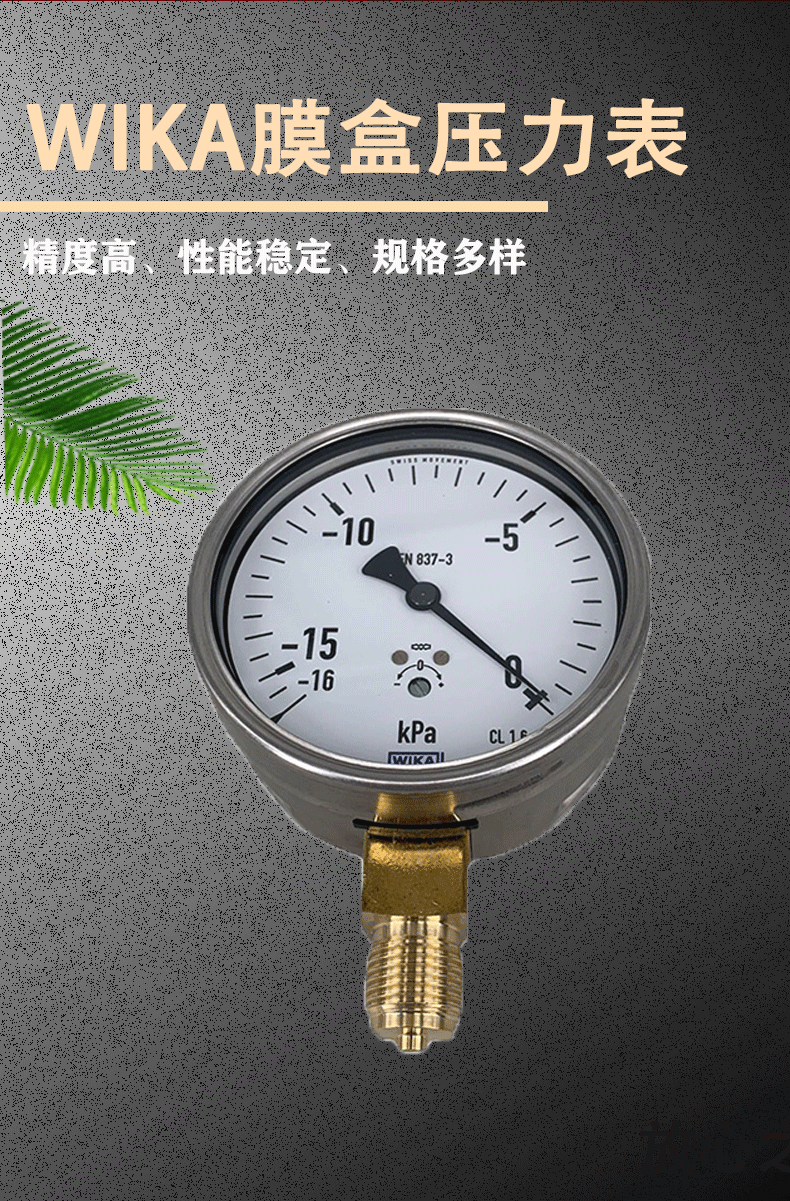 612.20.100壓力表3_02