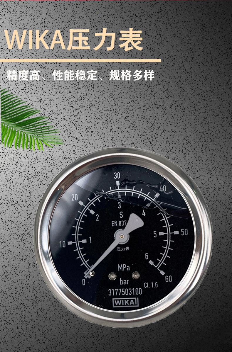213.53.063黑色wika_02