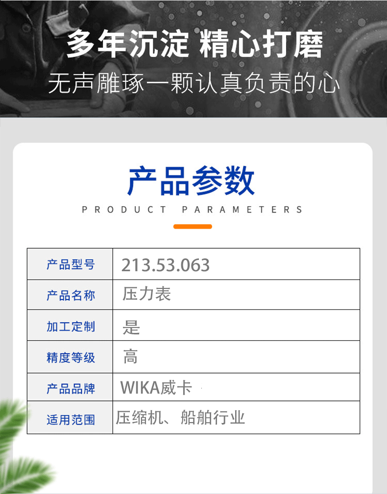 213.53.063黑色wika_04