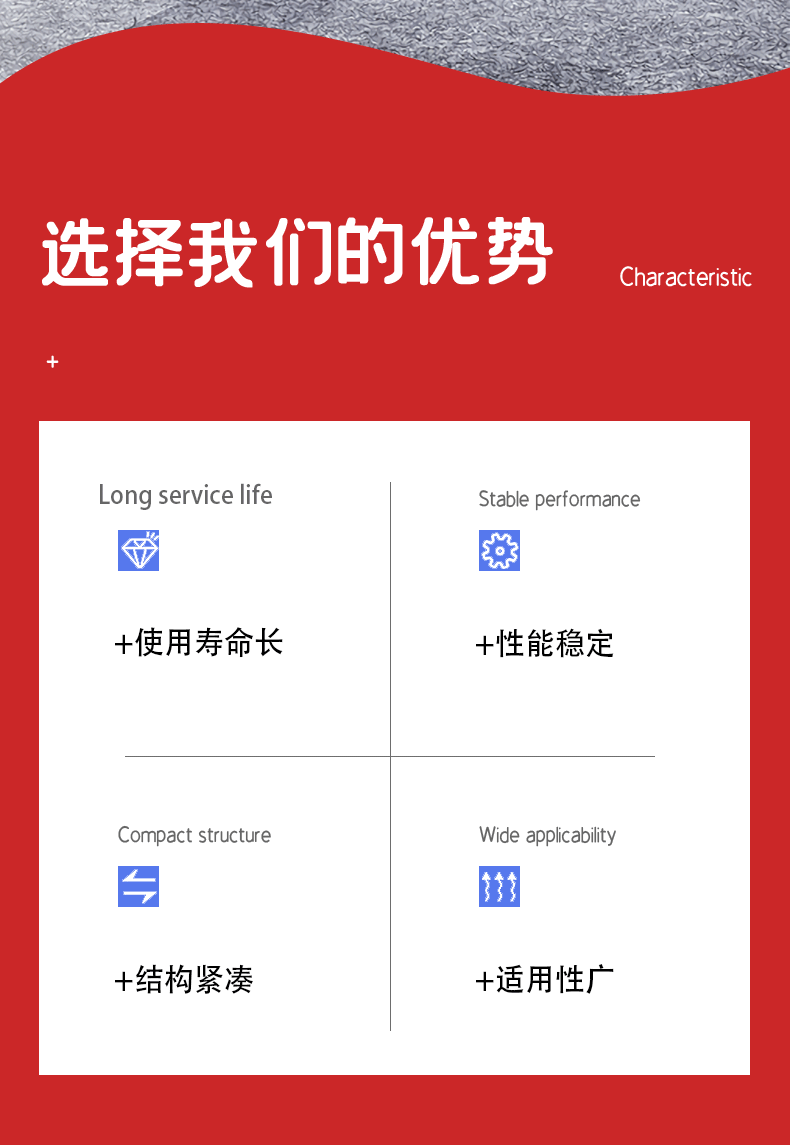 612.20.100壓力表_02