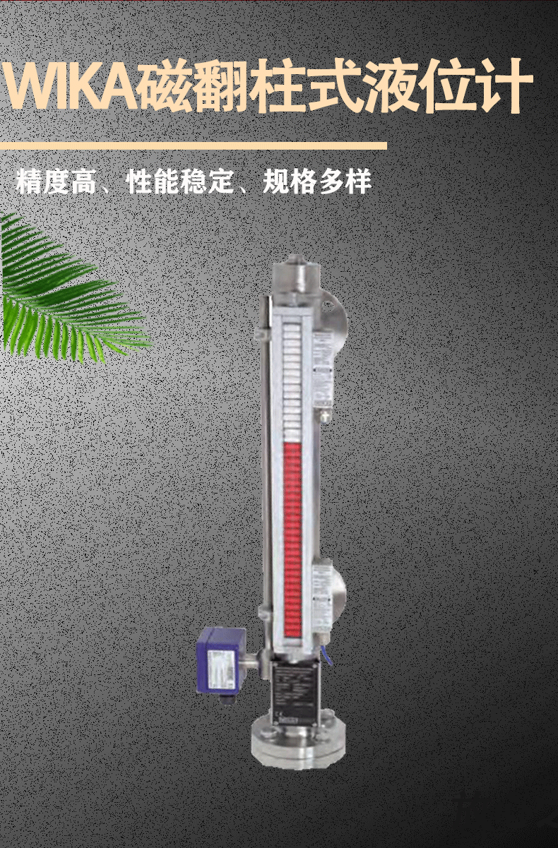 BNA磁翻柱式液位計(jì)_02