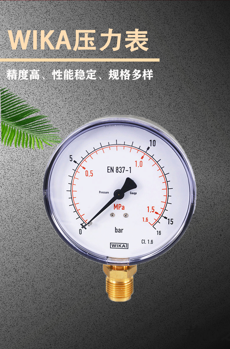 111.10波登管壓力表_02