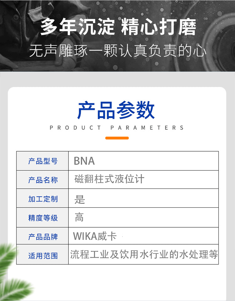 BNA磁翻柱式液位計(jì)_04