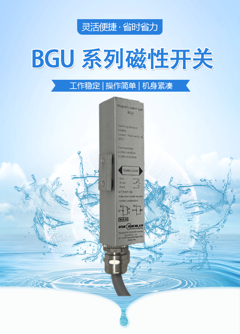 BGU磁性開關(guān)2_01