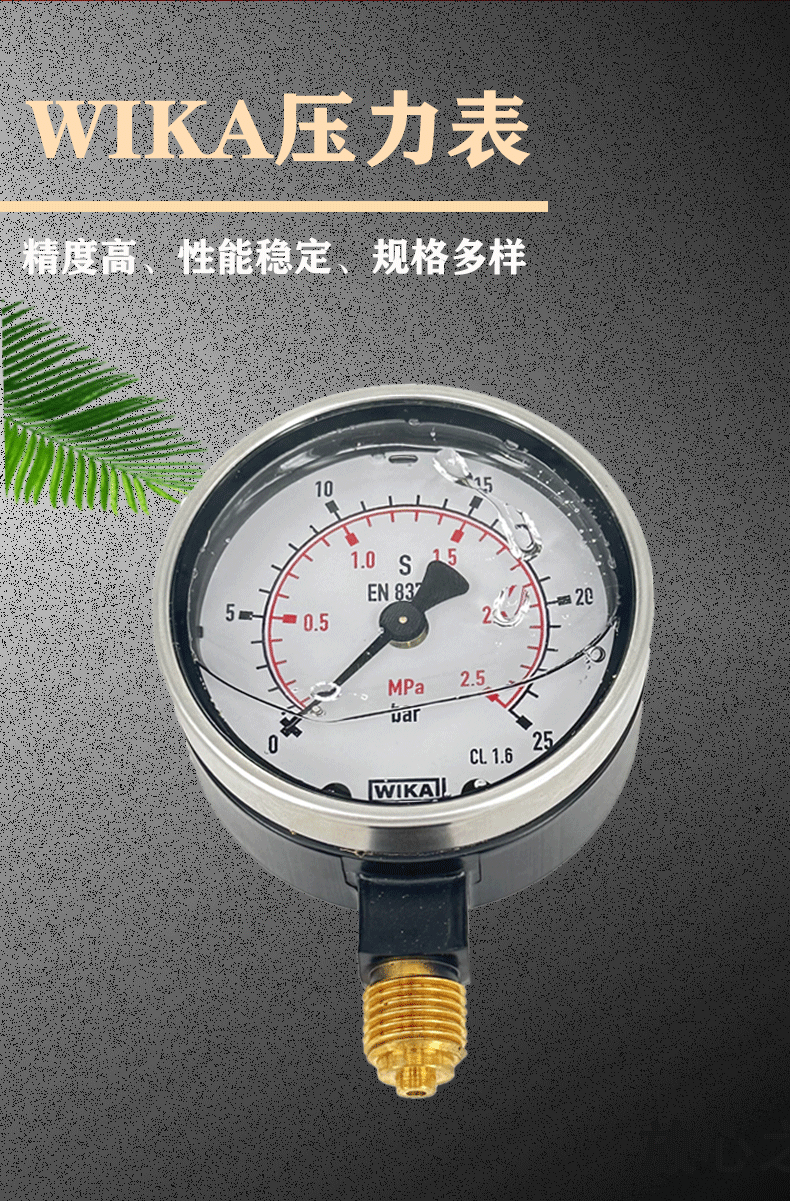 213.40.063壓力表2_02