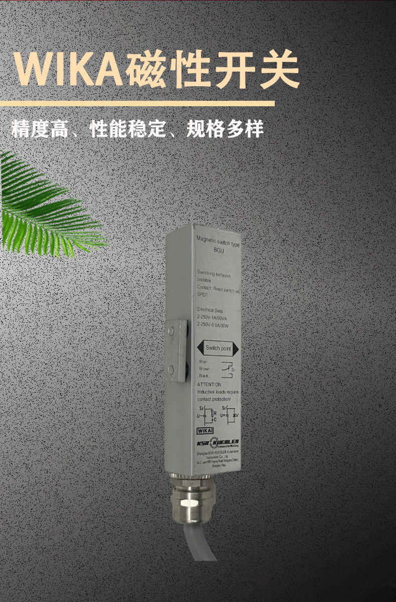 BGU磁性開關(guān)3_02