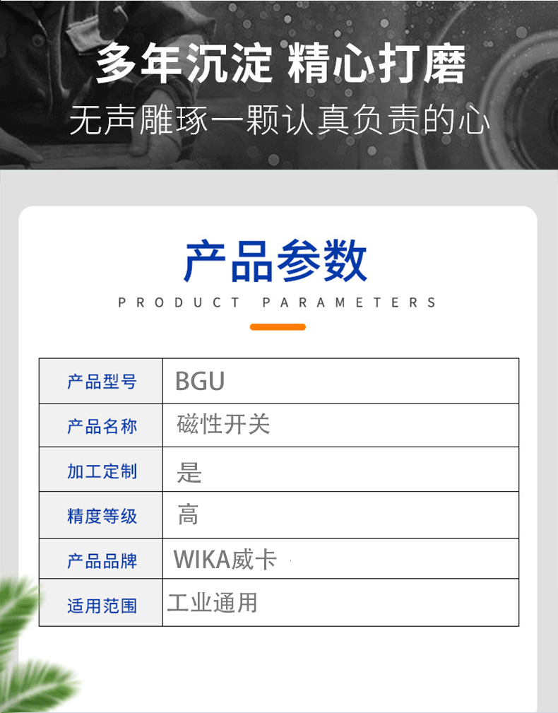 BGU磁性開關(guān)3_04