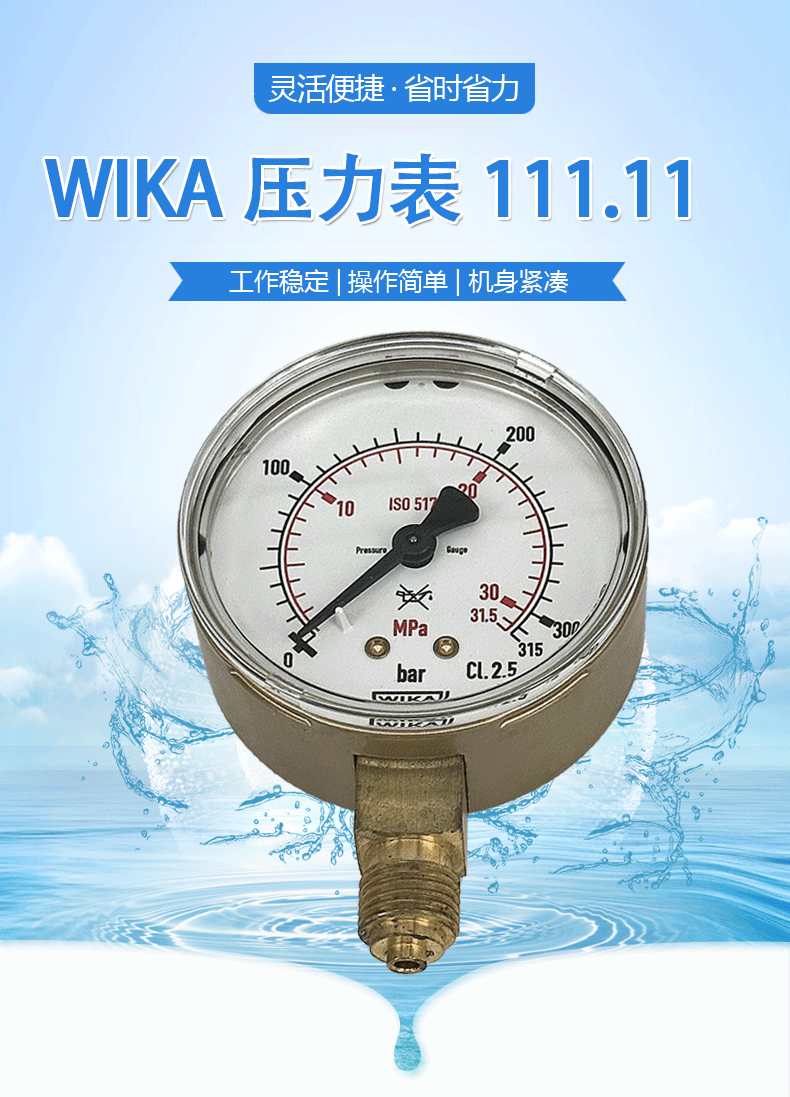 111.11.063壓力表2_01