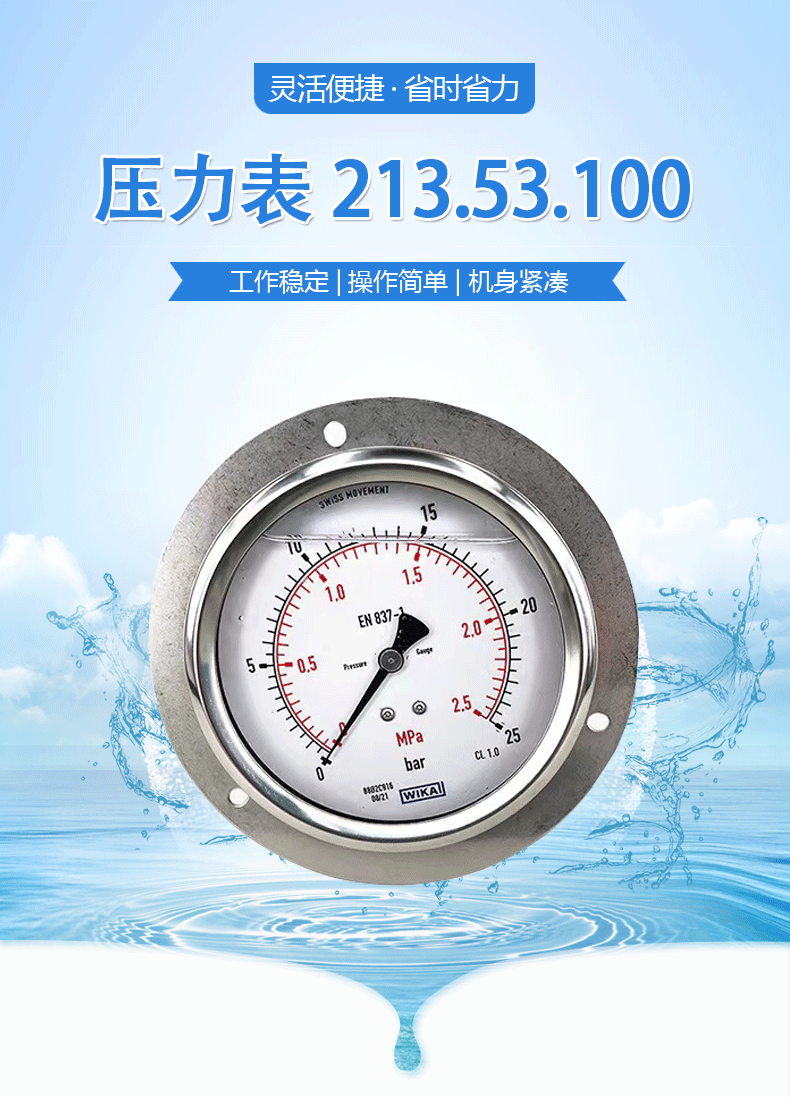 213.53.100波登管壓力表_01