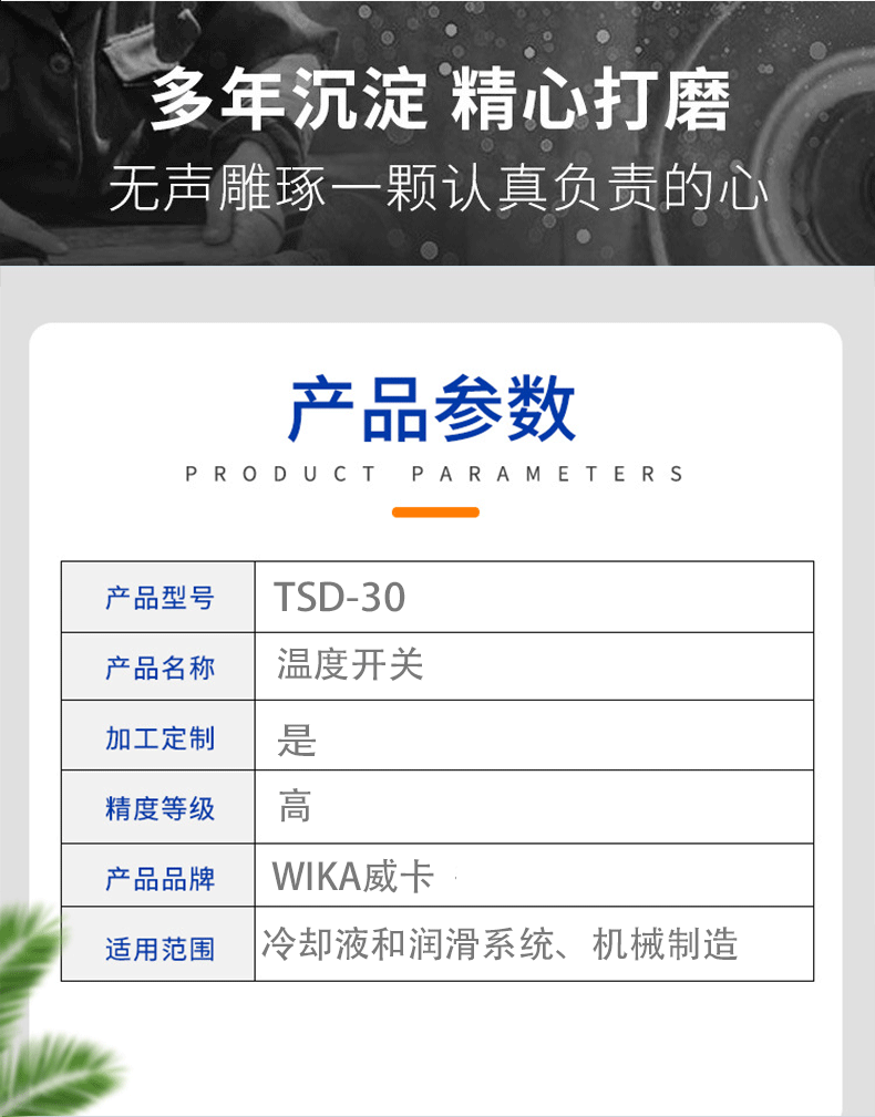 TSD-30溫度開關(guān)_04