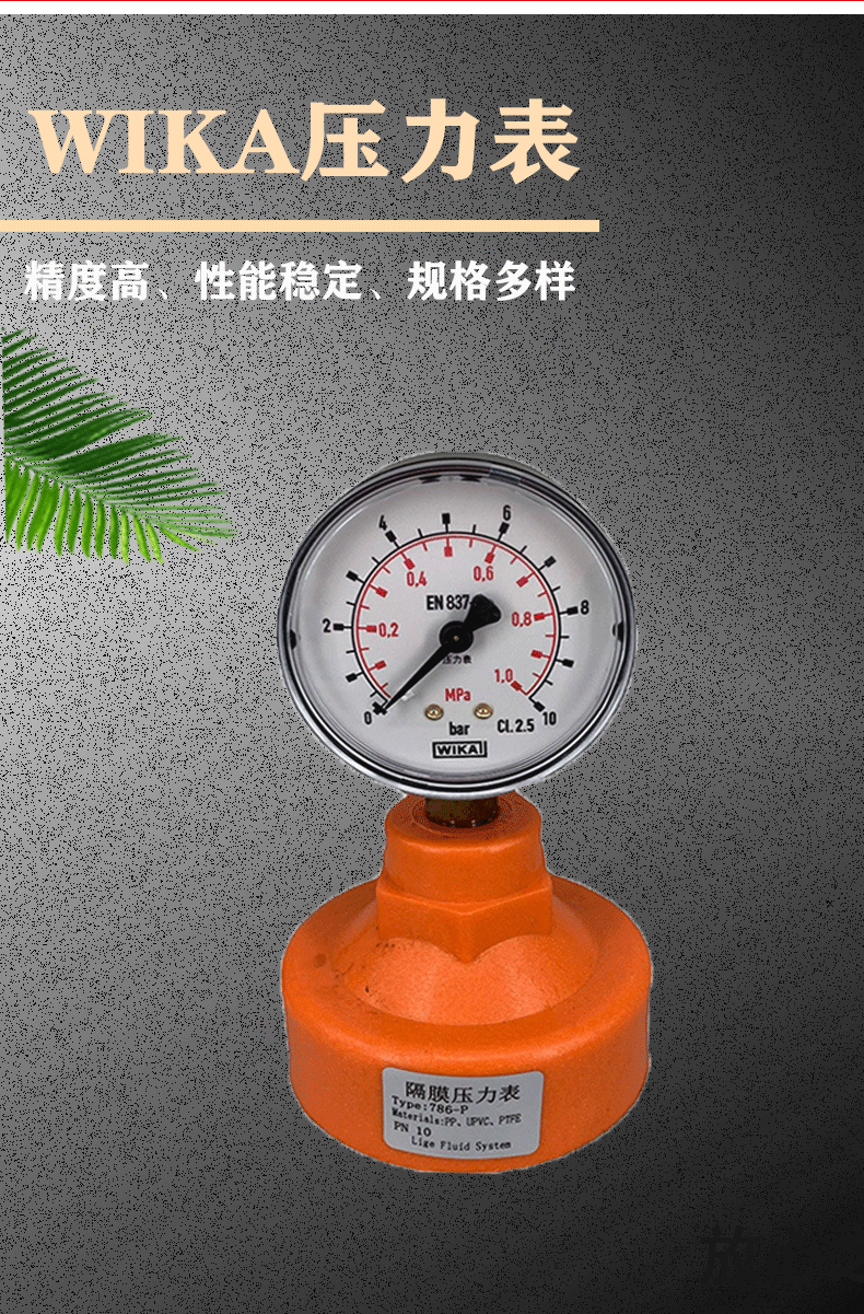 111.10.063加隔膜壓力表_02
