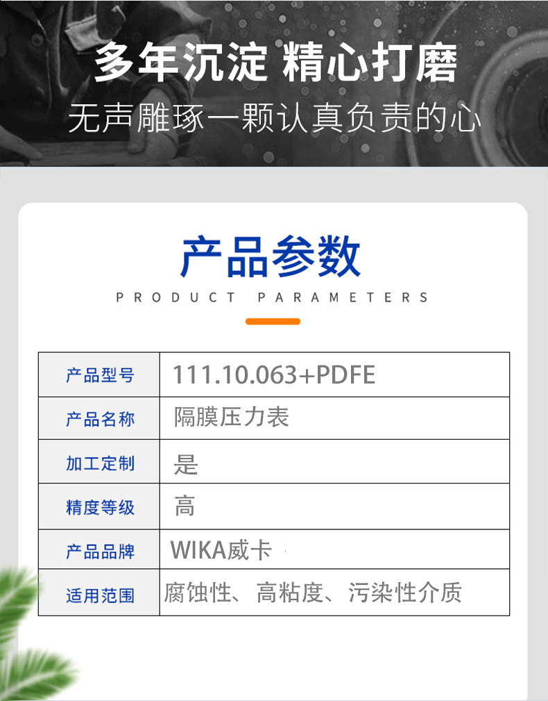 111.10.063加隔膜壓力表_04