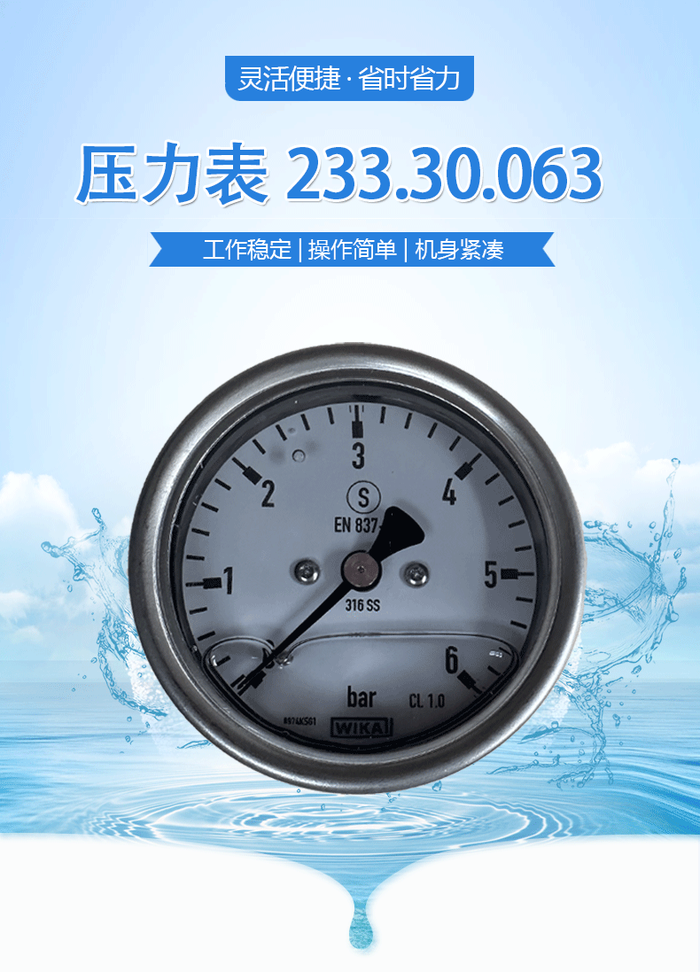 233.30.063壓力表_01