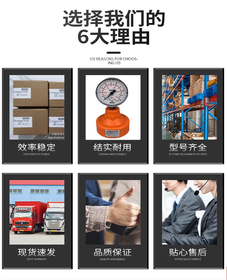 111.10.063加隔膜壓力表_10