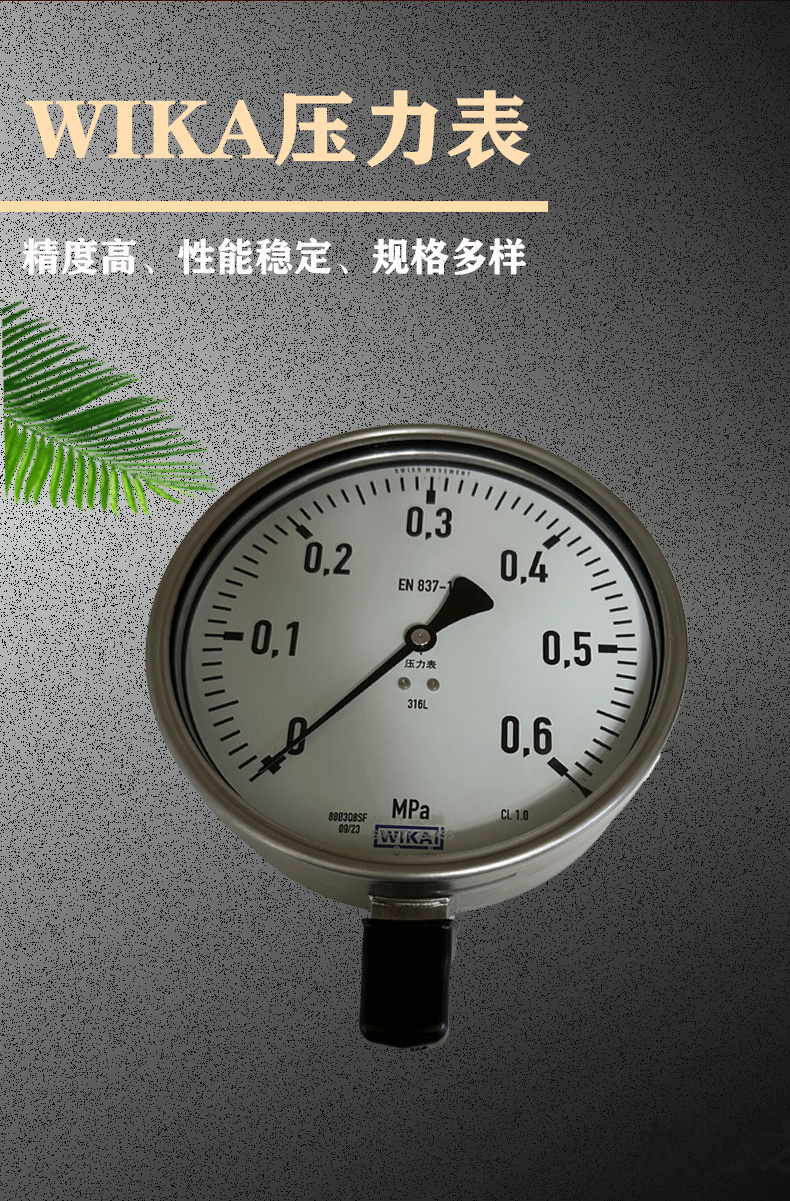 232.50.160壓力表_02