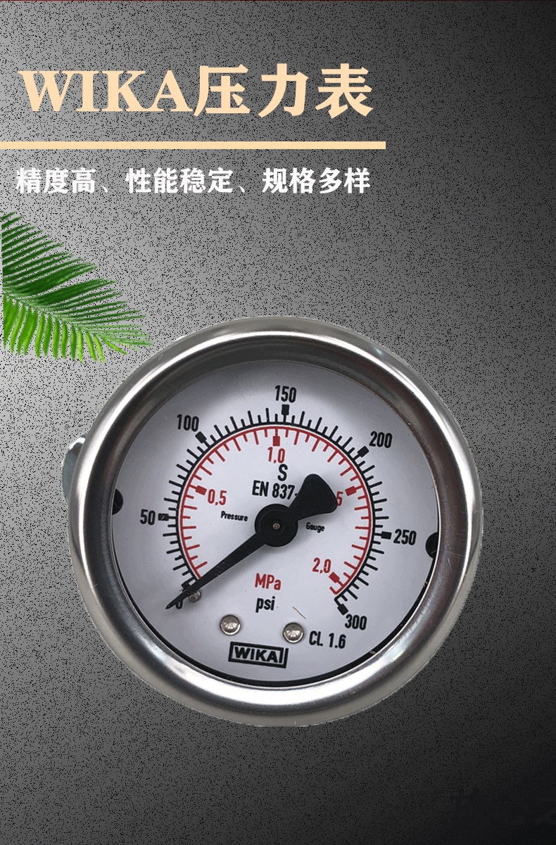 213.53.050壓力表_02